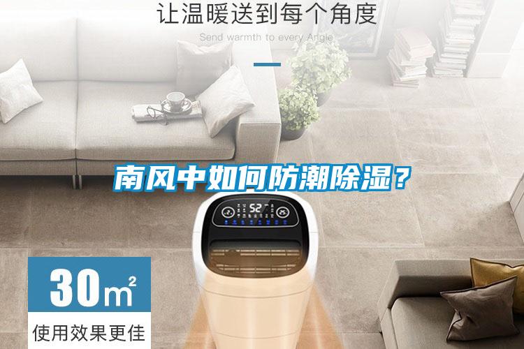 南風中如何防潮91看片网站视频？