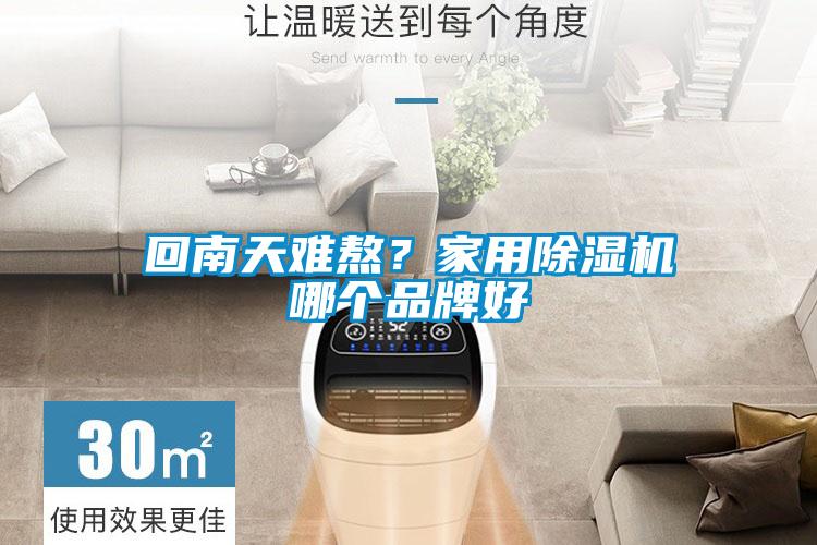回南天難熬？家用91看片网站视频機哪個品牌好