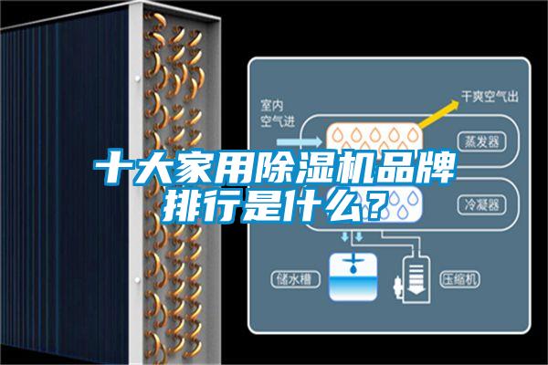 十大家用91看片网站视频機品牌排行是什麽？