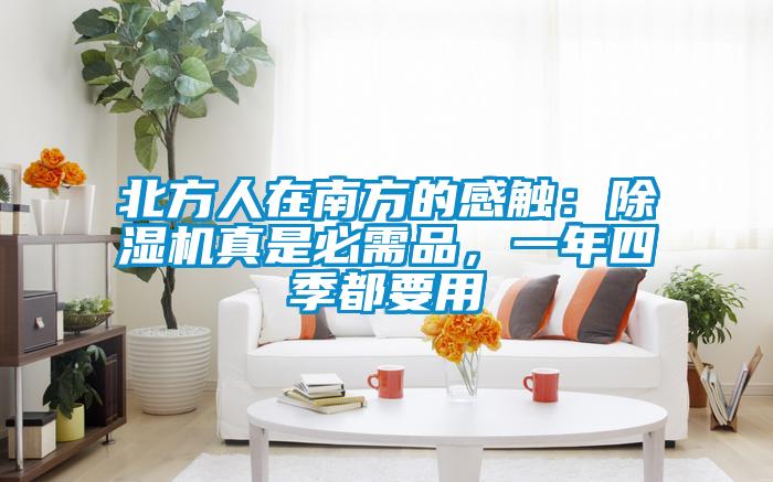 北方人在南方的感觸：91看片网站视频機真是必需品，一年四季都要用
