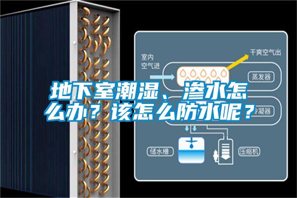 地下室潮濕、滲水怎麽辦？該怎麽防水呢？