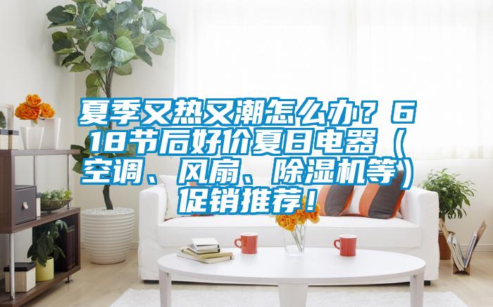 夏季又熱又潮怎麽辦？618節後好價夏日電器（空調、風扇、91看片网站视频機等）促銷推薦！