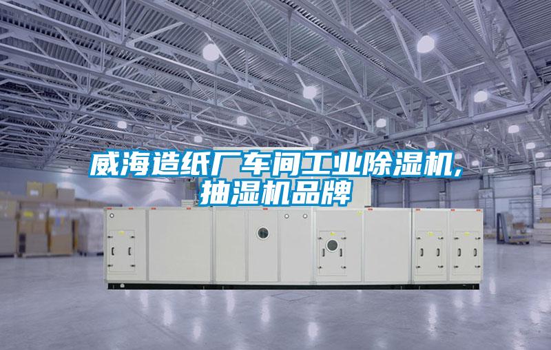 威海造紙廠車間工業91看片网站视频機,抽濕機品牌