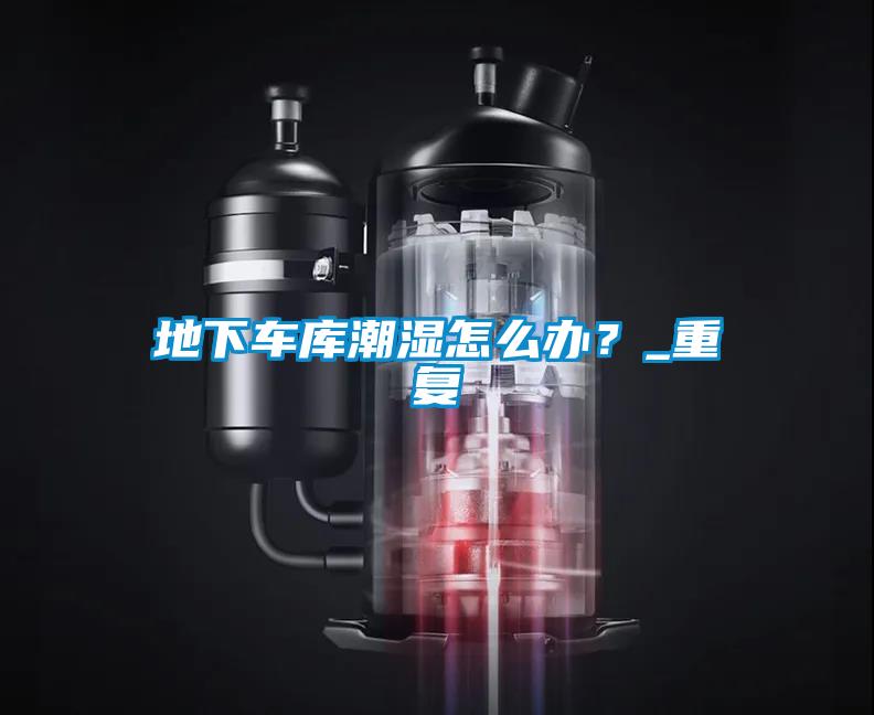 地下車庫潮濕怎麽辦？_重複