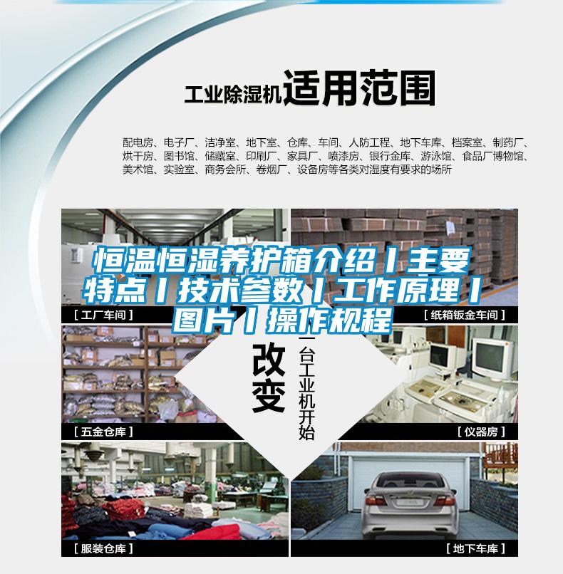 恒溫恒濕養護箱介紹丨主要特點丨技術參數丨工作原理丨圖片丨操作規程
