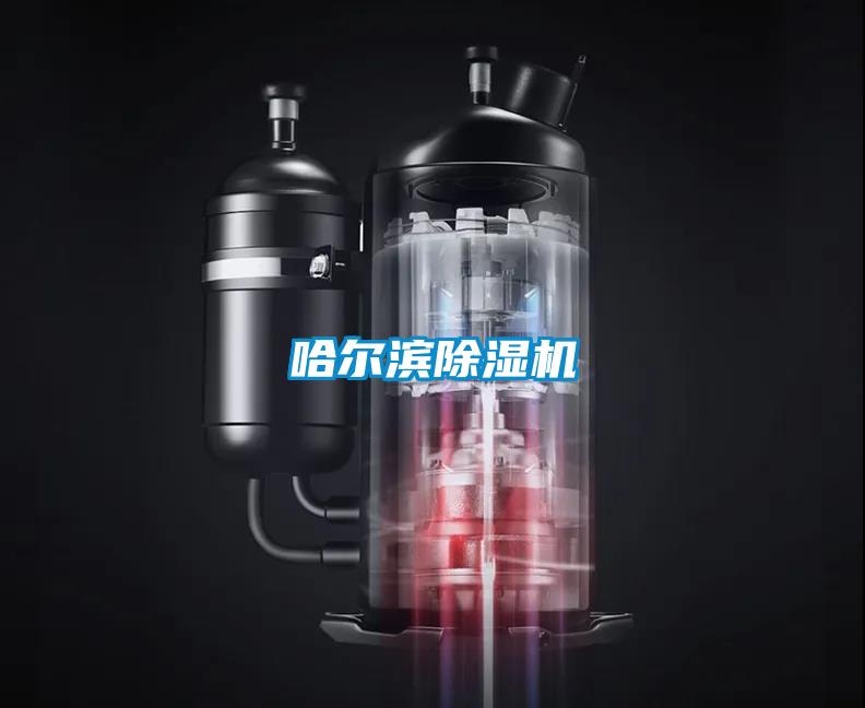 哈爾濱91看片网站视频機