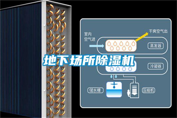 地下場所91看片网站视频機