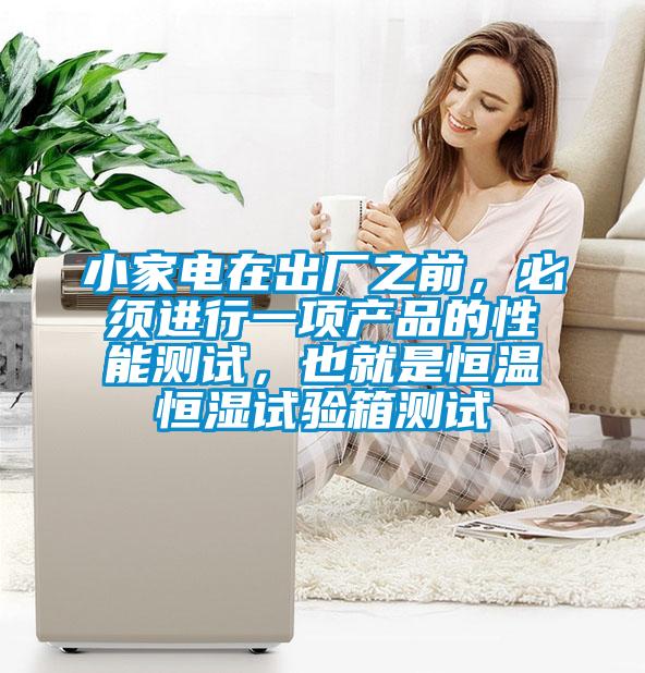 小家電在出廠之前，必須進行一項產品的性能測試，也就是恒溫恒濕試驗箱測試