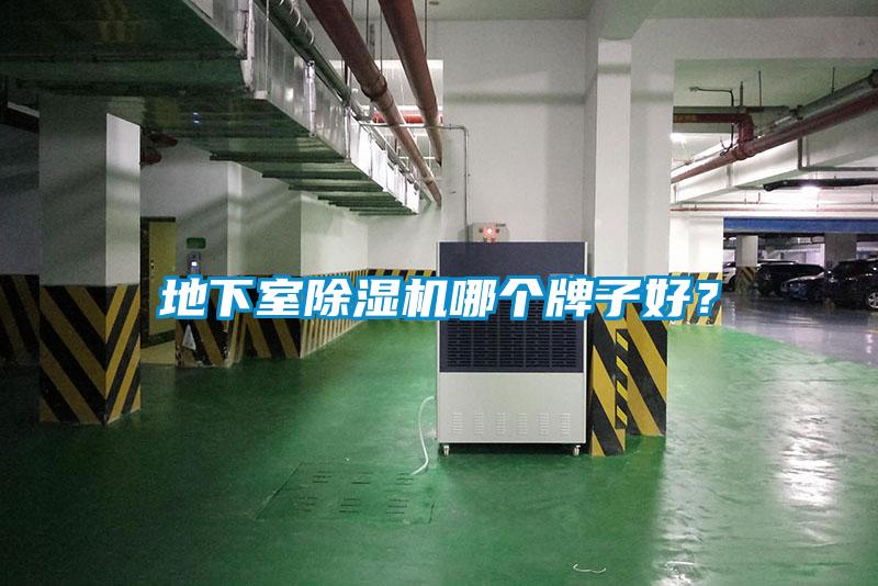 地下室91看片网站视频機哪個牌子好？