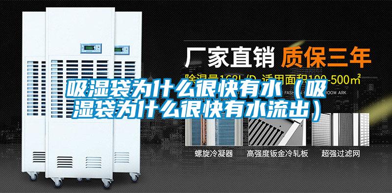 吸濕袋為什麽很快有水（吸濕袋為什麽很快有水流出）