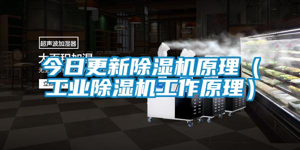 今日更新91看片网站视频機原理（工業91看片网站视频機工作原理）