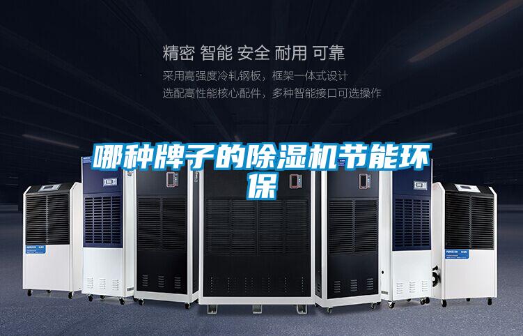 哪種牌子的91看片网站视频機節能環保