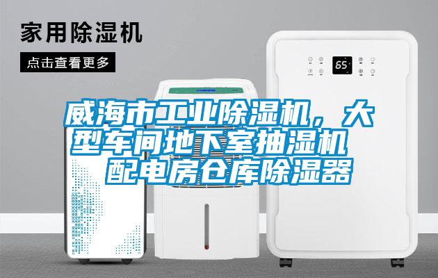 威海市工業91看片网站视频機，大型車間地下室抽濕機  配電房倉庫91看片网站视频器