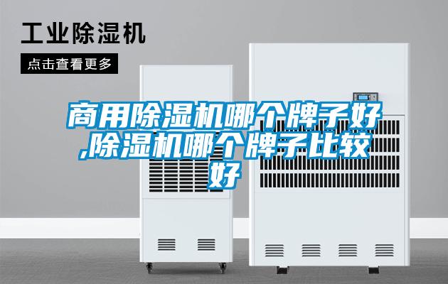商用91看片网站视频機哪個牌子好,91看片网站视频機哪個牌子比較好