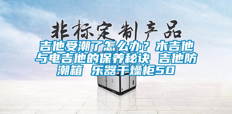 吉他受潮了怎麽辦？木吉他與電吉他的保養秘訣 吉他防潮箱 樂器幹燥櫃50