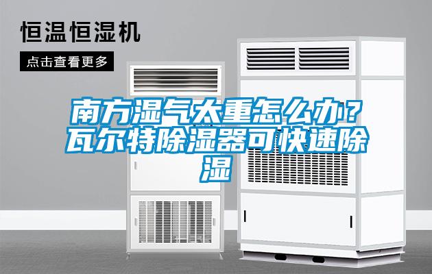 南方濕氣太重怎麽辦？瓦爾特91看片网站视频器可快速91看片网站视频