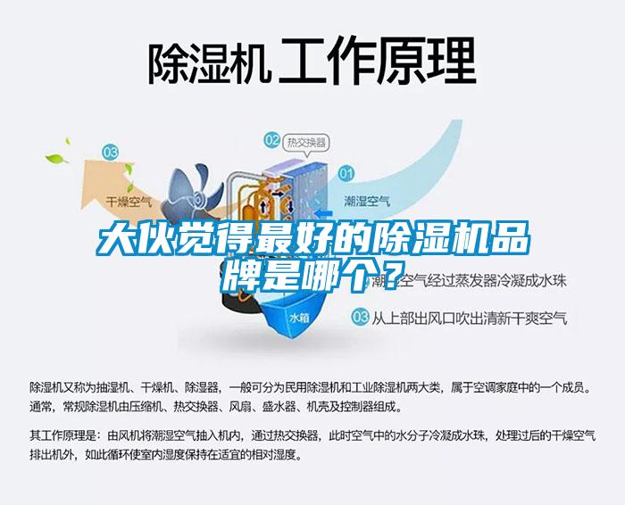 大夥覺得最好的91看片网站视频機品牌是哪個？