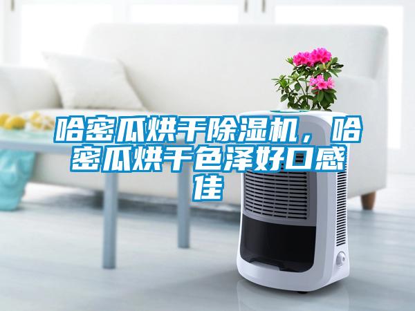 哈密瓜烘幹91看片网站视频機，哈密瓜烘幹色澤好口感佳