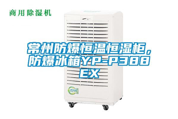 常州防爆恒溫恒濕櫃，防爆冰箱YP-P388EX