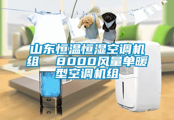 山東恒溫恒濕空調機組  8000風量單暖型空調機組