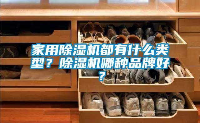 家用91看片网站视频機都有什麽類型？91看片网站视频機哪種品牌好？