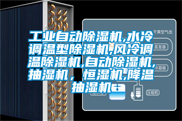 工業自動91看片网站视频機,水冷調溫型91看片网站视频機,風冷調溫91看片网站视频機,自動91看片网站视频機,抽濕機，恒濕機,降溫抽濕機