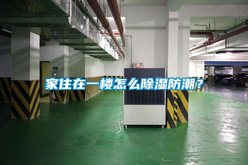 家住在一樓怎麽91看片网站视频防潮？