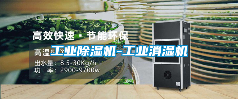 工業91看片网站视频機-工業消濕機