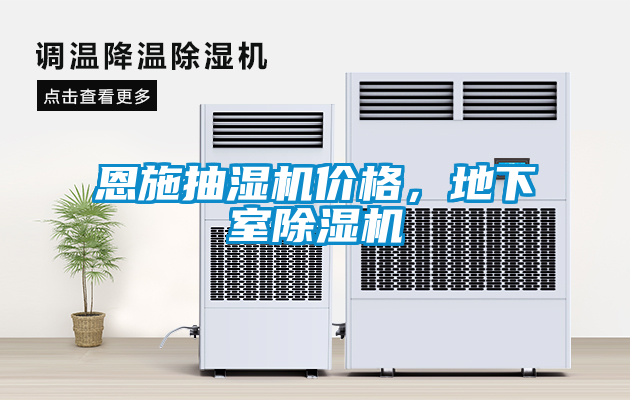 恩施抽濕機價格，地下室91看片网站视频機