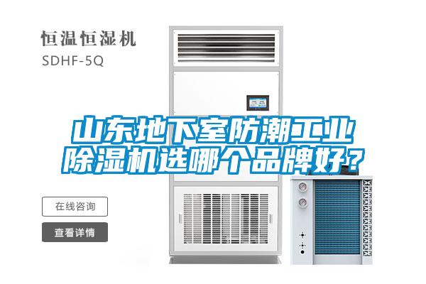 山東地下室防潮工業91看片网站视频機選哪個品牌好？