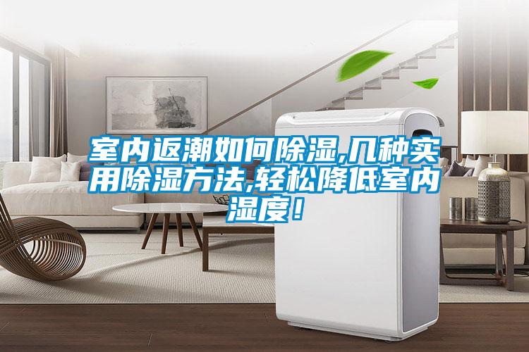 室內返潮如何91看片网站视频,幾種實用91看片网站视频方法,輕鬆降低室內濕度！