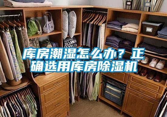 庫房潮濕怎麽辦？正確選用庫房91看片网站视频機