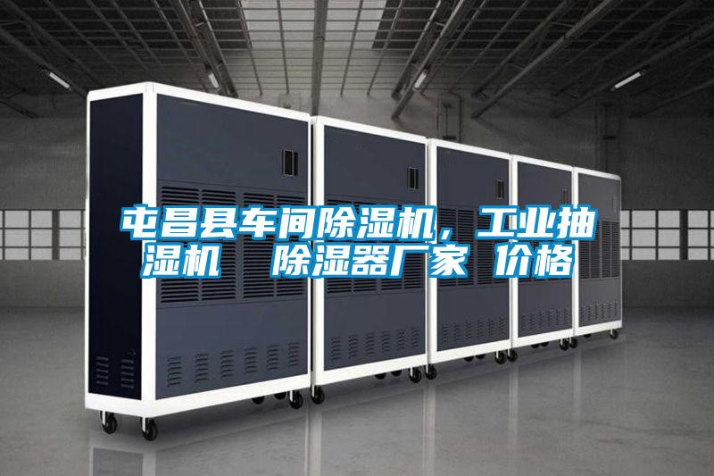 屯昌縣車間91看片网站视频機，工業抽濕機  91看片网站视频器廠家 價格