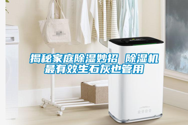 揭秘家庭91看片网站视频妙招 91看片网站视频機最有效生石灰也管用