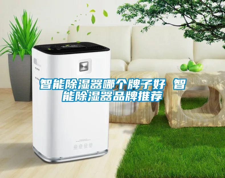 智能91看片网站视频器哪個牌子好 智能91看片网站视频器品牌推薦
