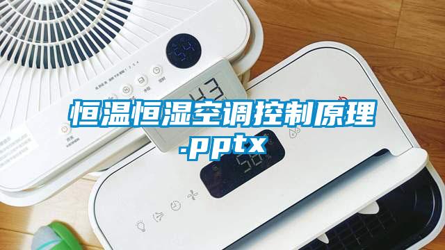 恒溫恒濕空調控製原理.pptx