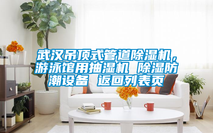 武漢吊頂式管道91看片网站视频機，遊泳館用抽濕機 91看片网站视频防潮設備 返回列表頁