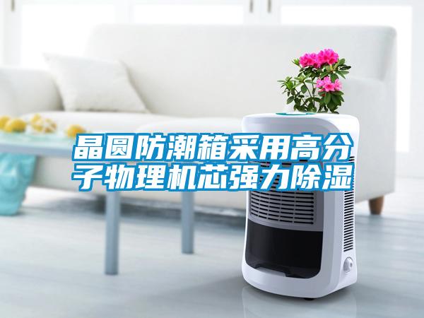 晶圓防潮箱采用高分子物理機芯強力91看片网站视频