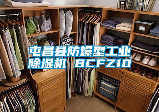 屯昌縣防爆型工業91看片网站视频機 BCFZ10