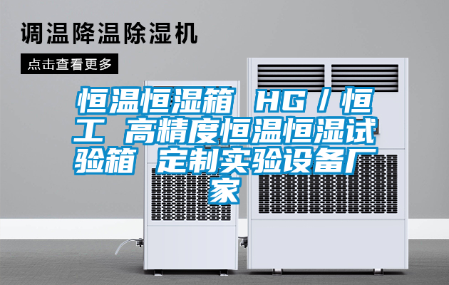 恒溫恒濕箱 HG／恒工 高精度恒溫恒濕試驗箱 定製實驗設備廠家