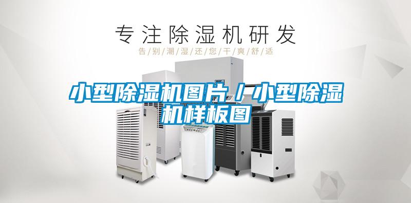 小型91看片网站视频機圖片／小型91看片网站视频機樣板圖