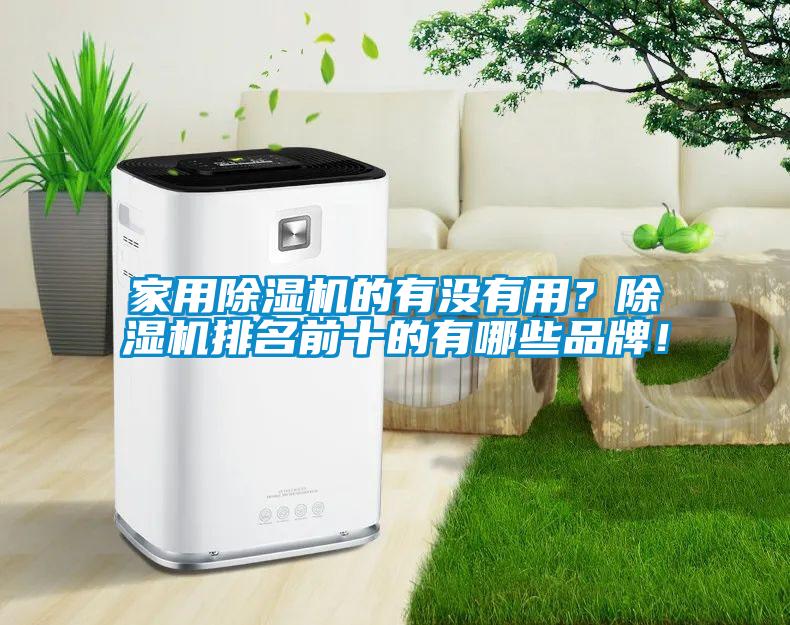 家用91看片网站视频機的有沒有用？91看片网站视频機排名前十的有哪些品牌！