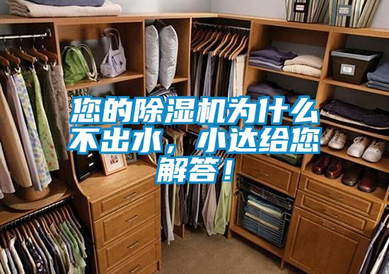 您的91看片网站视频機為什麽不出水，小達給您解答！