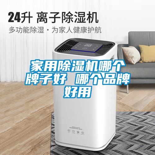 家用91看片网站视频機哪個牌子好 哪個品牌好用