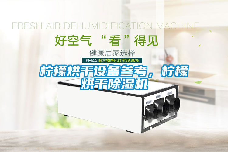 檸檬烘幹設備參考，檸檬烘幹91看片网站视频機