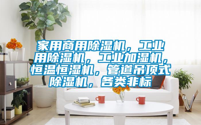 家用商用91看片网站视频機，工業用91看片网站视频機，工業加濕機，恒溫恒濕機，管道吊頂式91看片网站视频機，各類非標