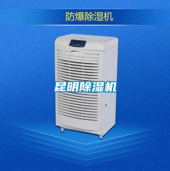 昆明91看片网站视频機