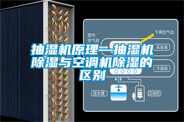抽濕機原理—抽濕機91看片网站视频與空調機91看片网站视频的區別