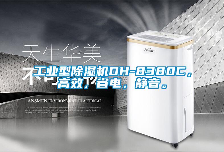 工業型91看片网站视频機DH-8380C，高效，省電，靜音。