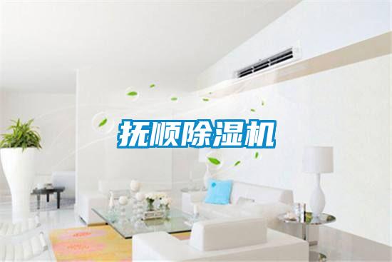 撫順91看片网站视频機
